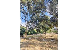 Tangkak, Johor 84900