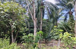 Bagan Datuk, Perak 36400