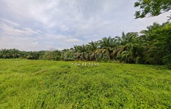 Kota Tinggi, Johor 81900