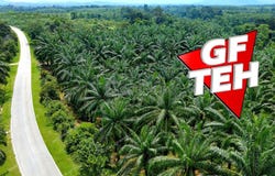 Kuala Ketil, Kedah 9100
