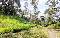 Bentong, Pahang 28750