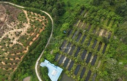 Kuala Kangsar, Perak 33000