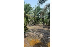Pontian, Johor 82000