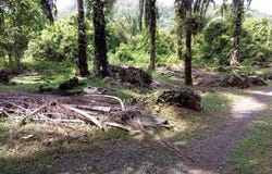 Sungai Siput, Perak 31100