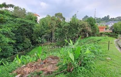 Jalan Taman Duta, Taman Duta, Kuala Lumpur 50480