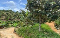 Raub, Pahang 0