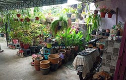 Jalan Dagang 1/7, Ampang, Selangor 68000