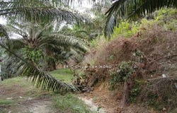 j, Kuala Kangsar, Perak 31100