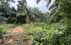 Sik, Kedah 0