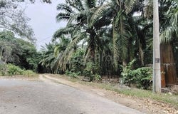 Ulu Tiram, Johor 81800