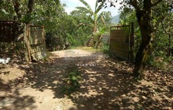 Kampung Baharu Pajam, Mantin, Negeri Sembilan 71700
