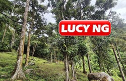 Bukit Mertajam, Penang 14000