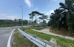 Pekan Nenas, Johor 81500