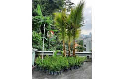 Jalan Teberau, Ukay Heights, Ampang, Selangor 68000