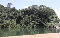 Damansara Perdana, Selangor 47820