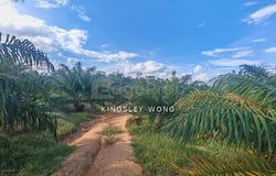Sungai Siput , Kuala Kangsar, Perak 31100