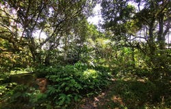 Semenyih, Selangor 43500
