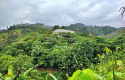 Kuala Perting, Bentong, Pahang 28700