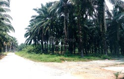 Kuala Selangor, Selangor 45700
