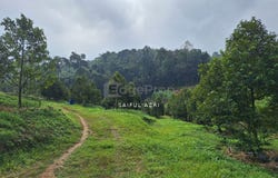 Muallim, Hilir Perak, Perak