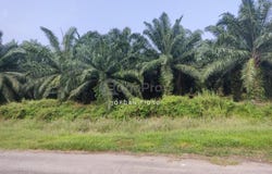 Klang, Selangor 42200