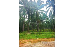 Selangor, Sepang, Selangor 43900