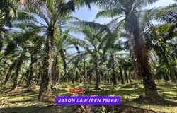 Bedong, Kedah 08100