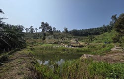 sungai siput, Kuala Kangsar, Perak 31100
