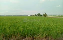 Sekinchan, Selangor 45400