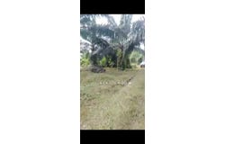 Sungai Pelek, Sepang, Selangor 43950