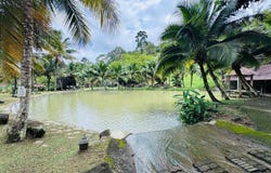 Bentong, Pahang 28750