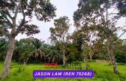 Merbok - Yan Kechil Rd, Yan, Kedah 6900