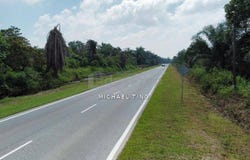 Pontian, Johor 81500