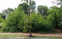 Kota Damansara, Selangor 47810
