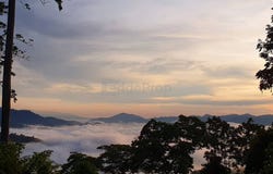 Jalan Kampung, Bentong, Pahang 28750
