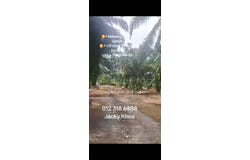 Banting, Selangor 42700