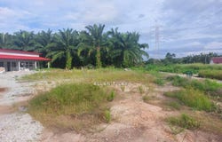 Sepang, Selangor 43900