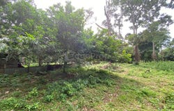 Kuantan, Pahang 26100