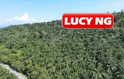 Baling, Kedah 9100