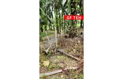 Larut Matang, Perak 34500