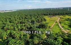 Kapar, Selangor 42200