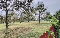 Ulu Tiram, Johor