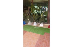 Shah Alam, Selangor 40000