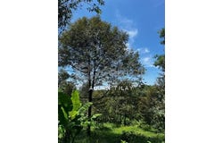 Sungkai, Perak