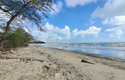 Mersing, Johor 86800