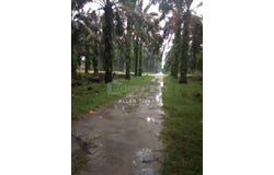 Kuala Selangor, Selangor 45600