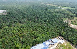 Pontian, Johor 82000