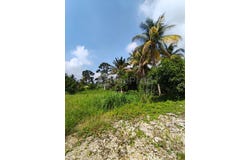 Simpang Ampat, Penang 14120