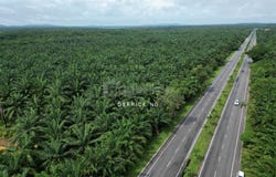Bedong, Kedah 8100