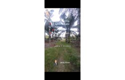 Banting, Selangor 42700